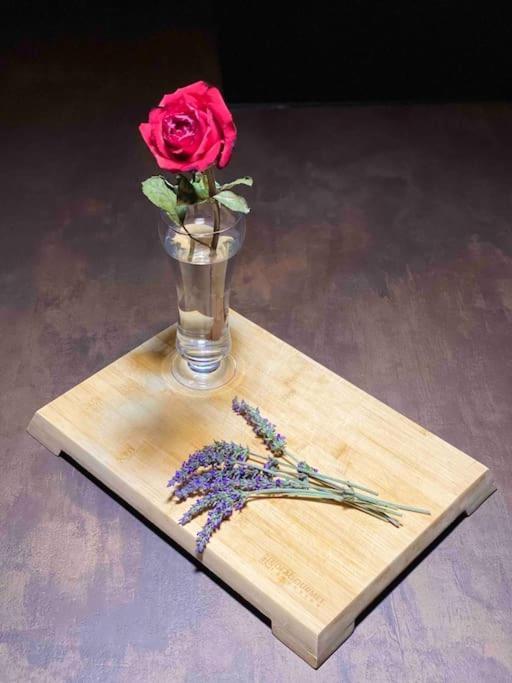 شقة The Wild Lavender Cecchina المظهر الخارجي الصورة